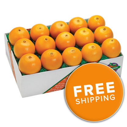 Navel Oranges