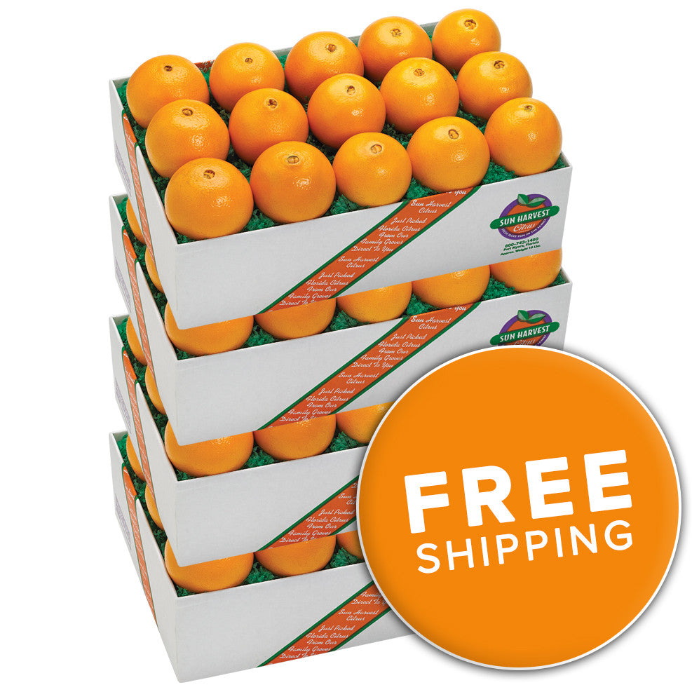Pick a Perfect Crate of Clementines: Our 7 Tips to Help You Out